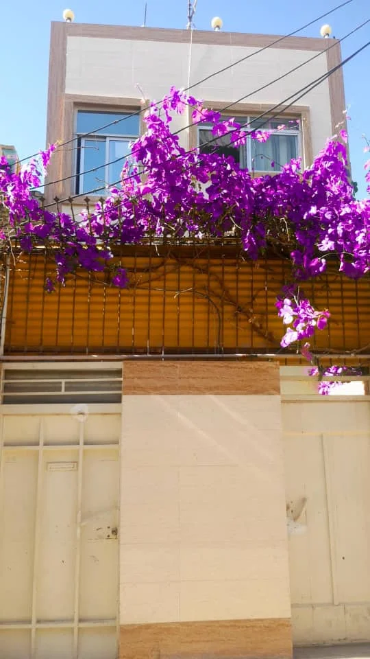 سلام آقای محمدی و